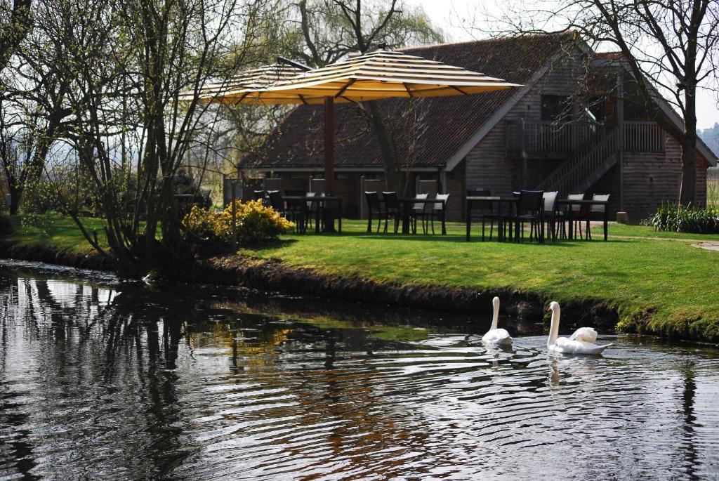 Hotel Mill Luxury
